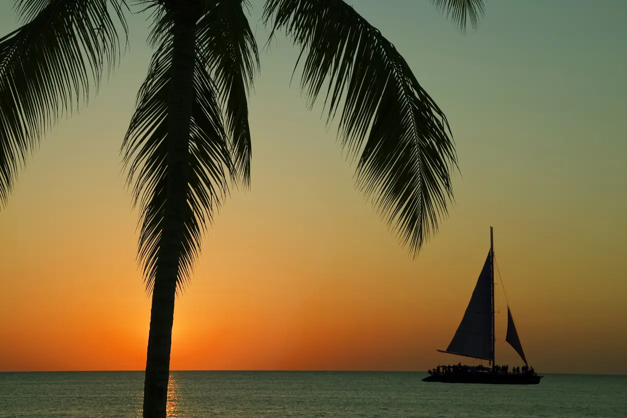 Palm fronds framing a catamaran under sail against an orange Negril sunset