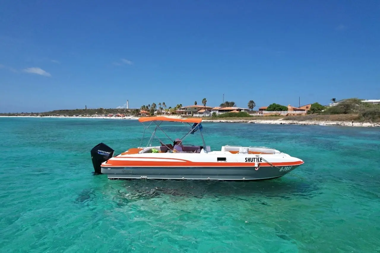 Deck boat floating over a visible reef in clear water near Aruba's palm-dotted shore