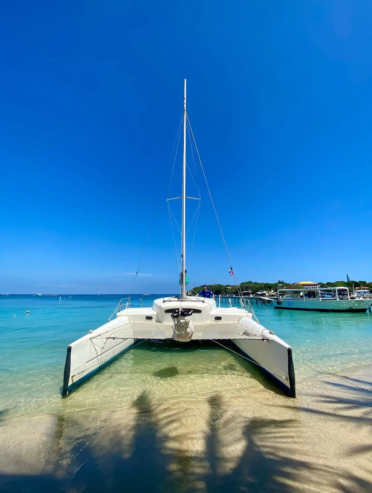 Sailing catamaran anchored bow-on in clear shallow water off a Roatan beach, palm shadows on the sand