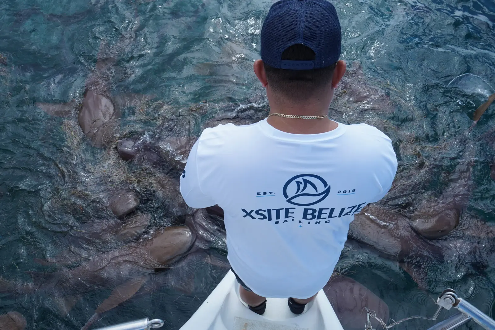 Crew member on a catamaran bow watching nurse sharks crowd the water below off Belize