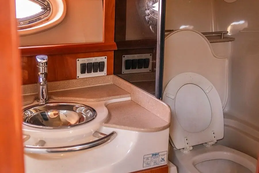 Compact yacht bathroom with a stainless steel sink, wood trim and a marine toilet
