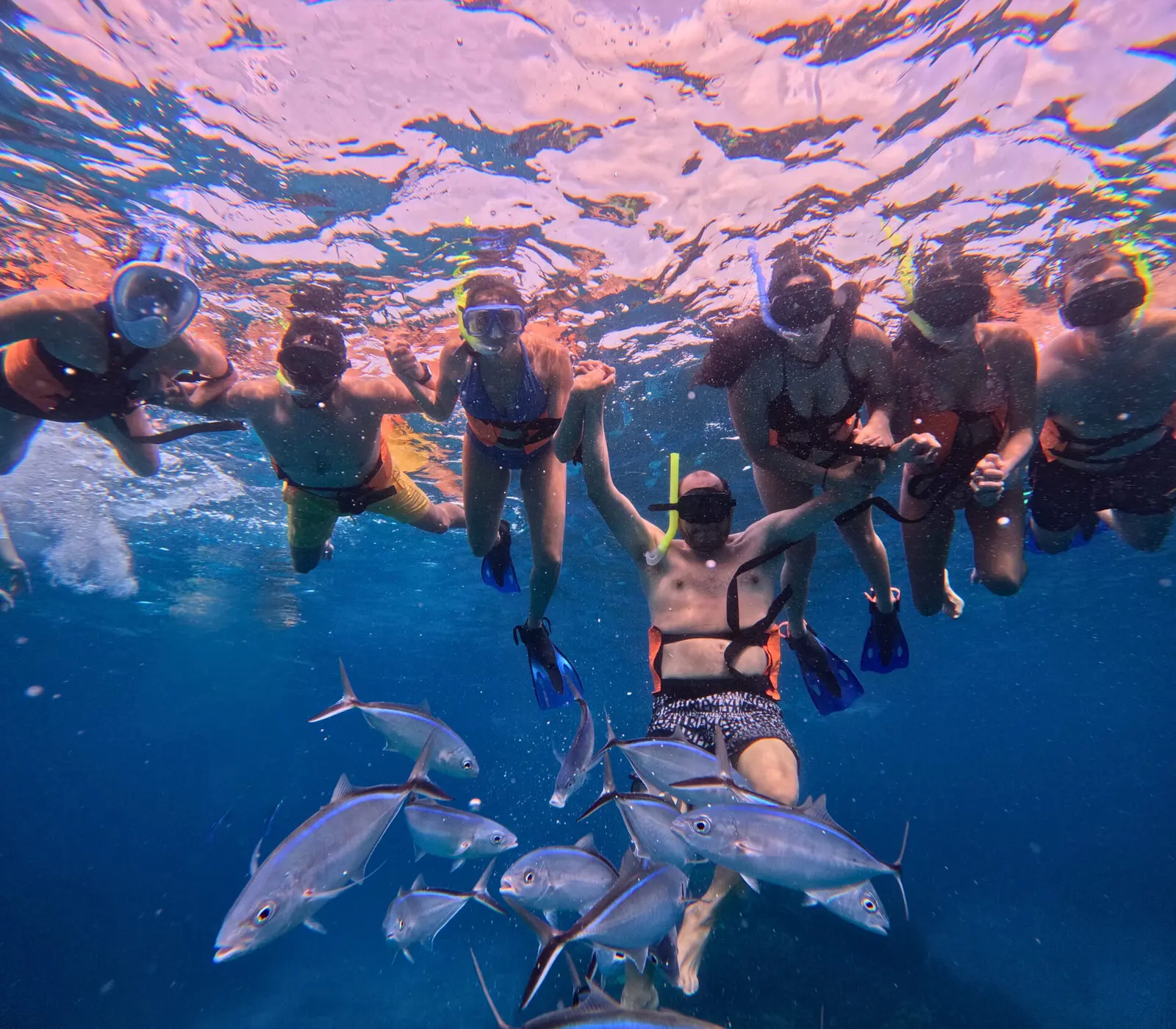 Snorkelers posing together at the surface while a school of silvery fish passes beneath