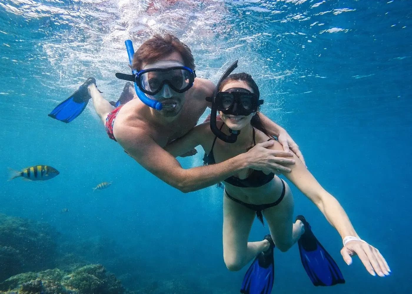 Couple snorkeling together underwater in masks and fins, a striped fish swimming beside them