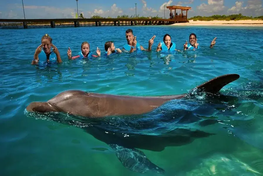 9. Dolphin Swim Encounter at Delphinus