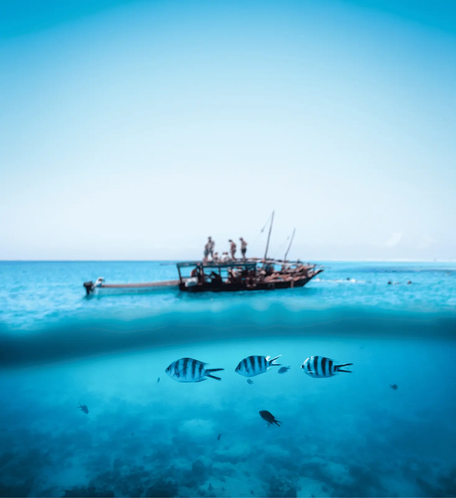 Split-level view of a dhow at anchor off Zanzibar with striped fish swimming beneath the surface