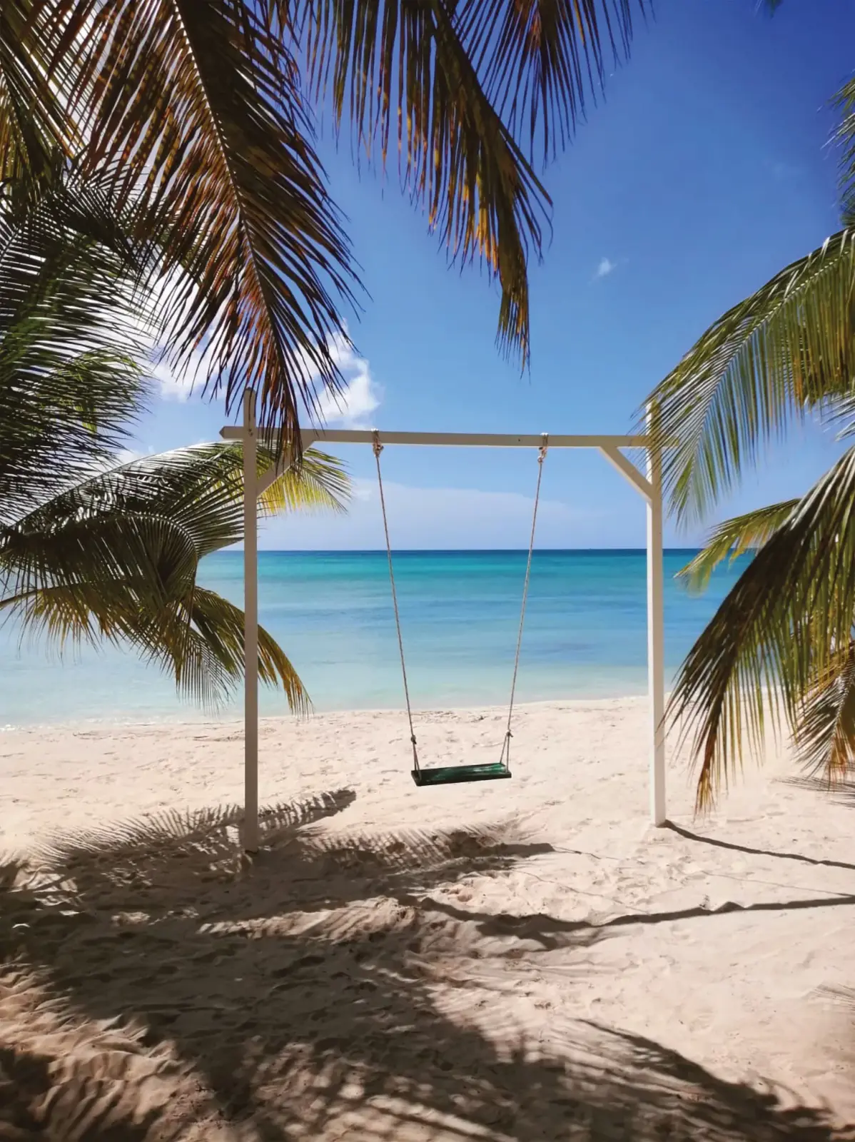 An empty swing hangs from a simple frame on a sandy beach beneath palm fronds