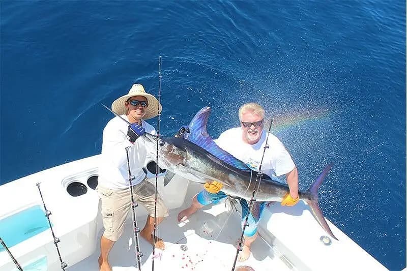 Overhead view of two anglers holding a striped marlin on the sportfishing boat as spray forms a rainbow