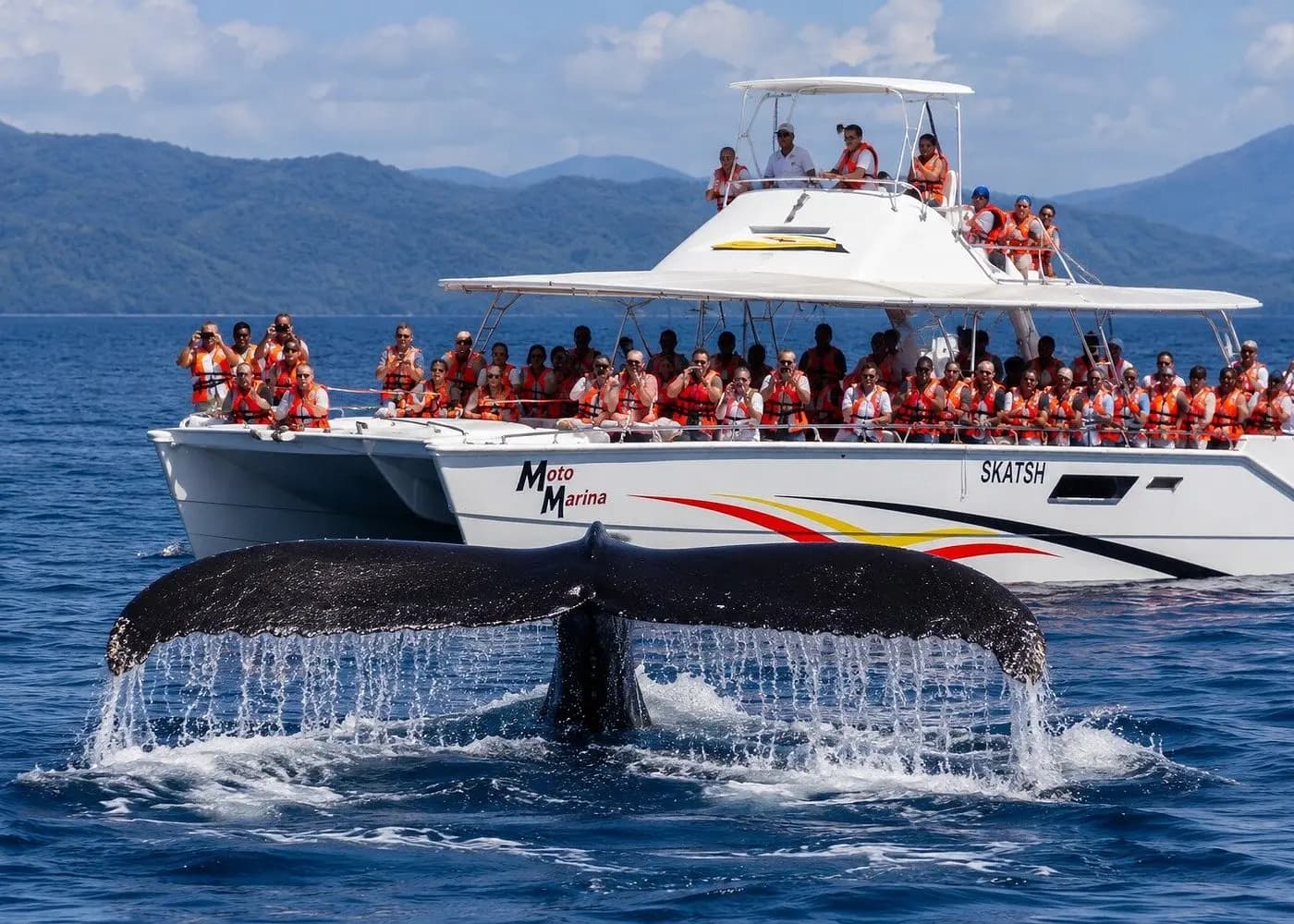 Humpback whale lifting its dripping tail fluke in front of a power catamaran packed with guests in life vests