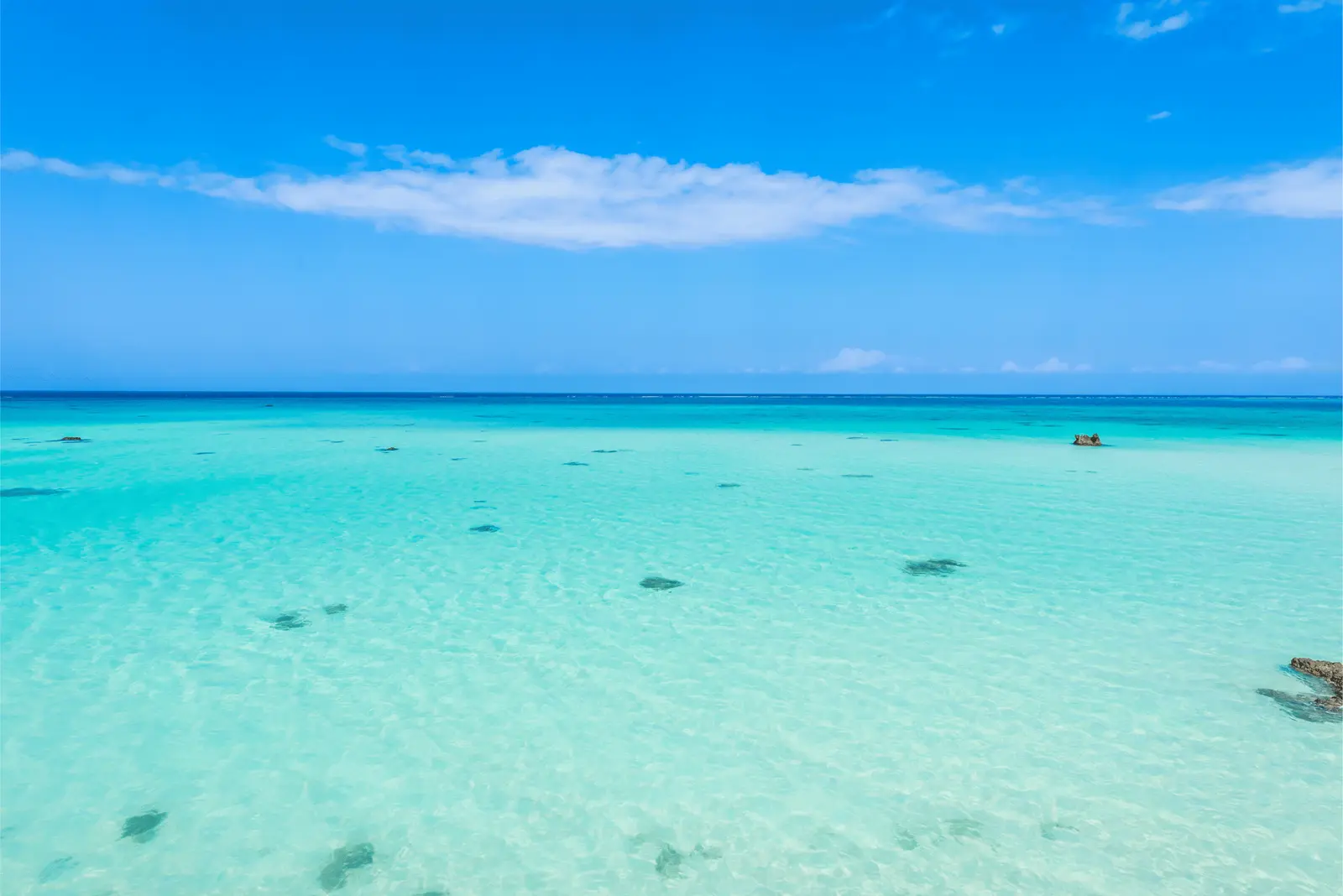 Shallow, clear turquoise water over white sand stretching to the horizon near Saona Island
