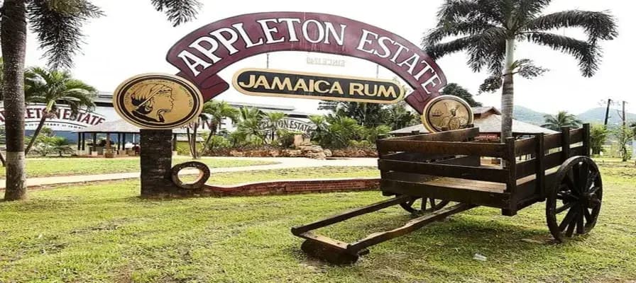 14. Take a Day Trip to Appleton Estate Rum Tour