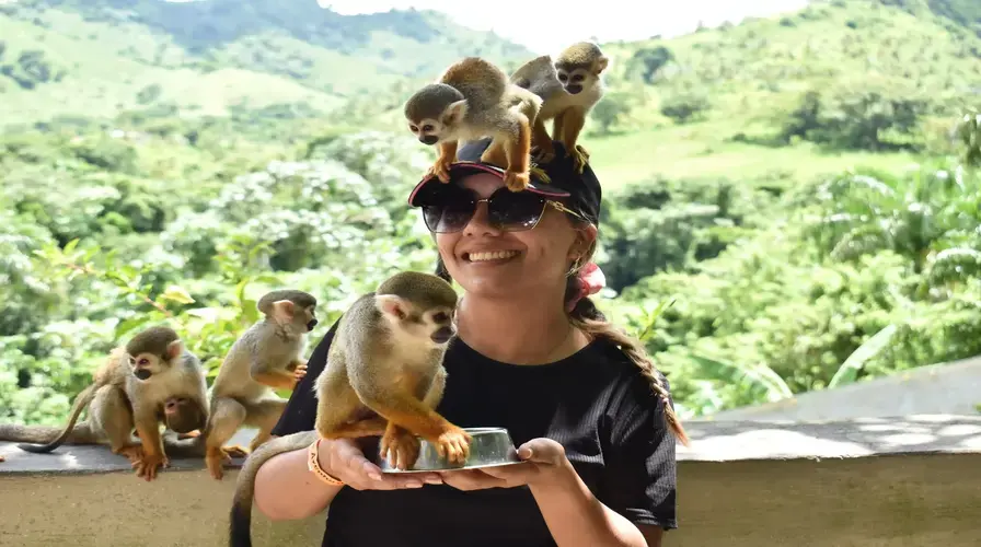 2. Adventure Bundle Monkeyland, Ziplines & Buggy Tours - Top Must-See Punta Cana Excursions and Activities