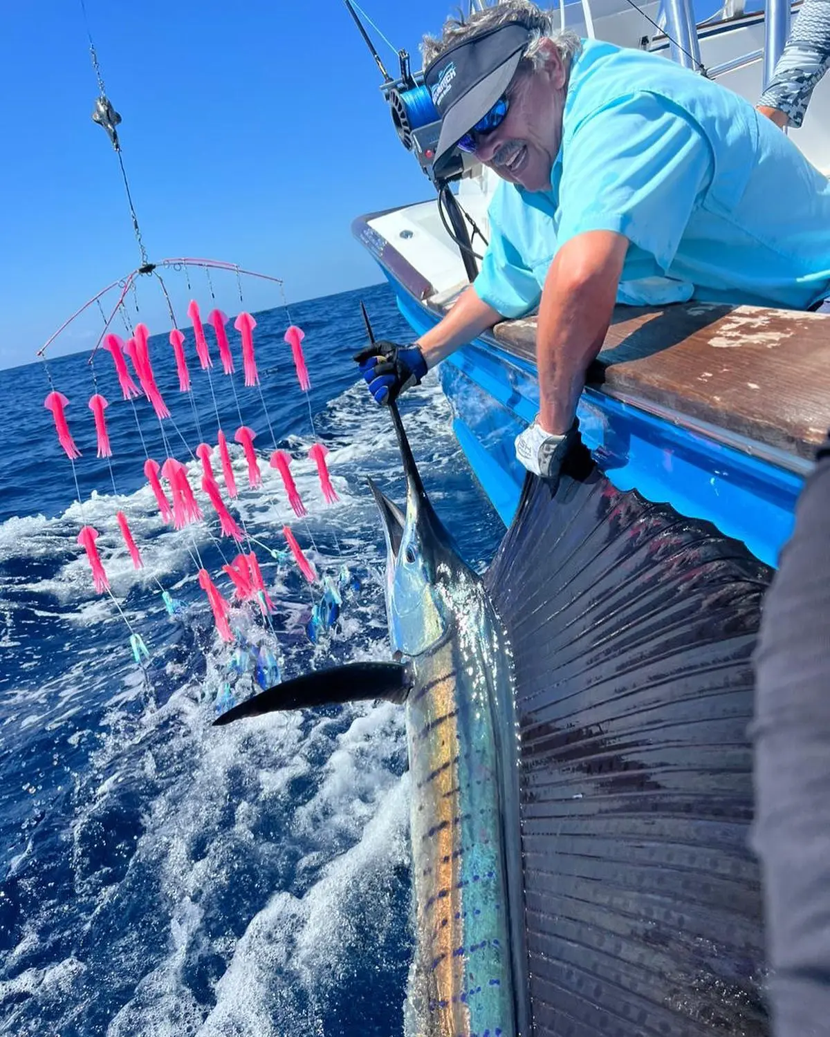 A man in gloves leans over the side of the sportfishing boat to grab a sailfish with its sail raised
