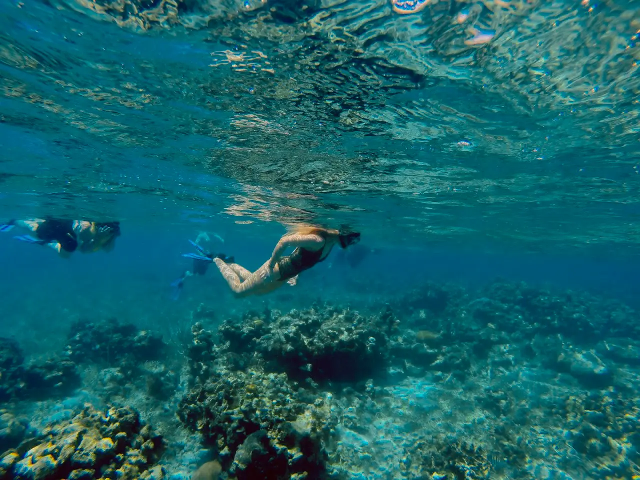 Two snorkelers swimming over a coral reef in clear blue water
