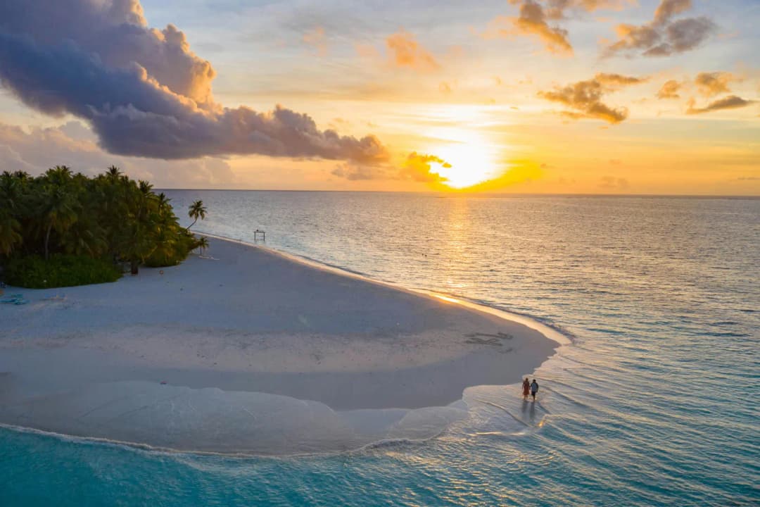  Aerial view of a couple walking on a beach at sunset.