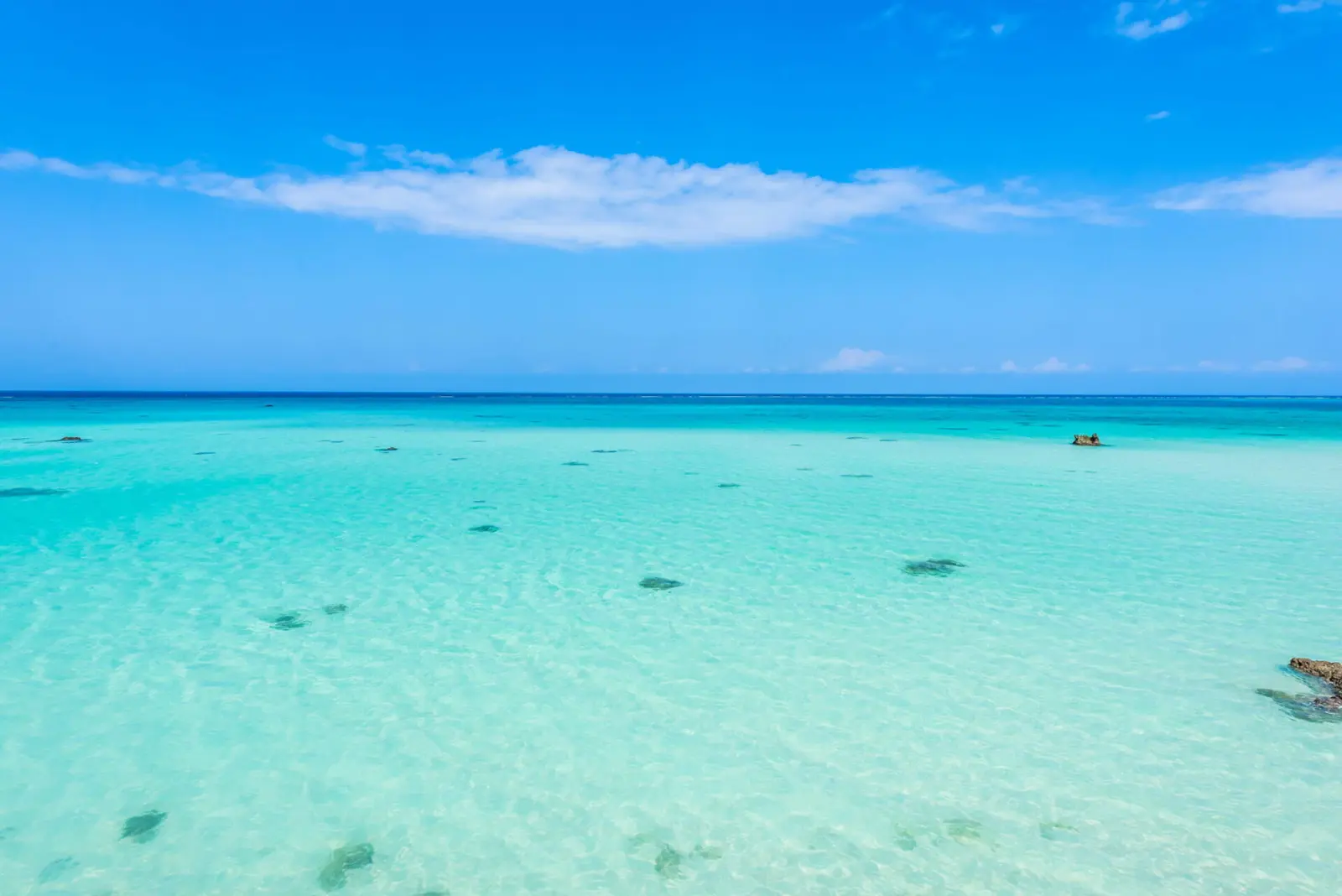 Clear, shallow turquoise water dotted with seagrass under a blue sky at Mnemba Atoll