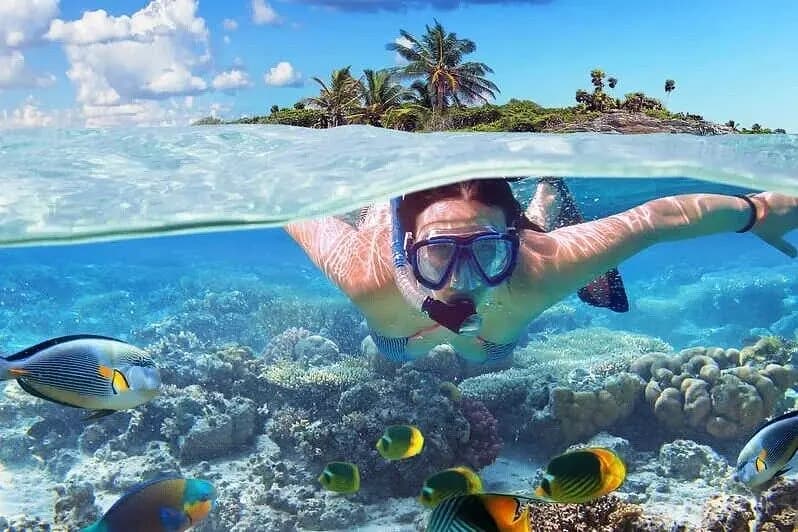 Snorkeler gliding over coral and colorful reef fish, a palm-topped islet visible above the waterline