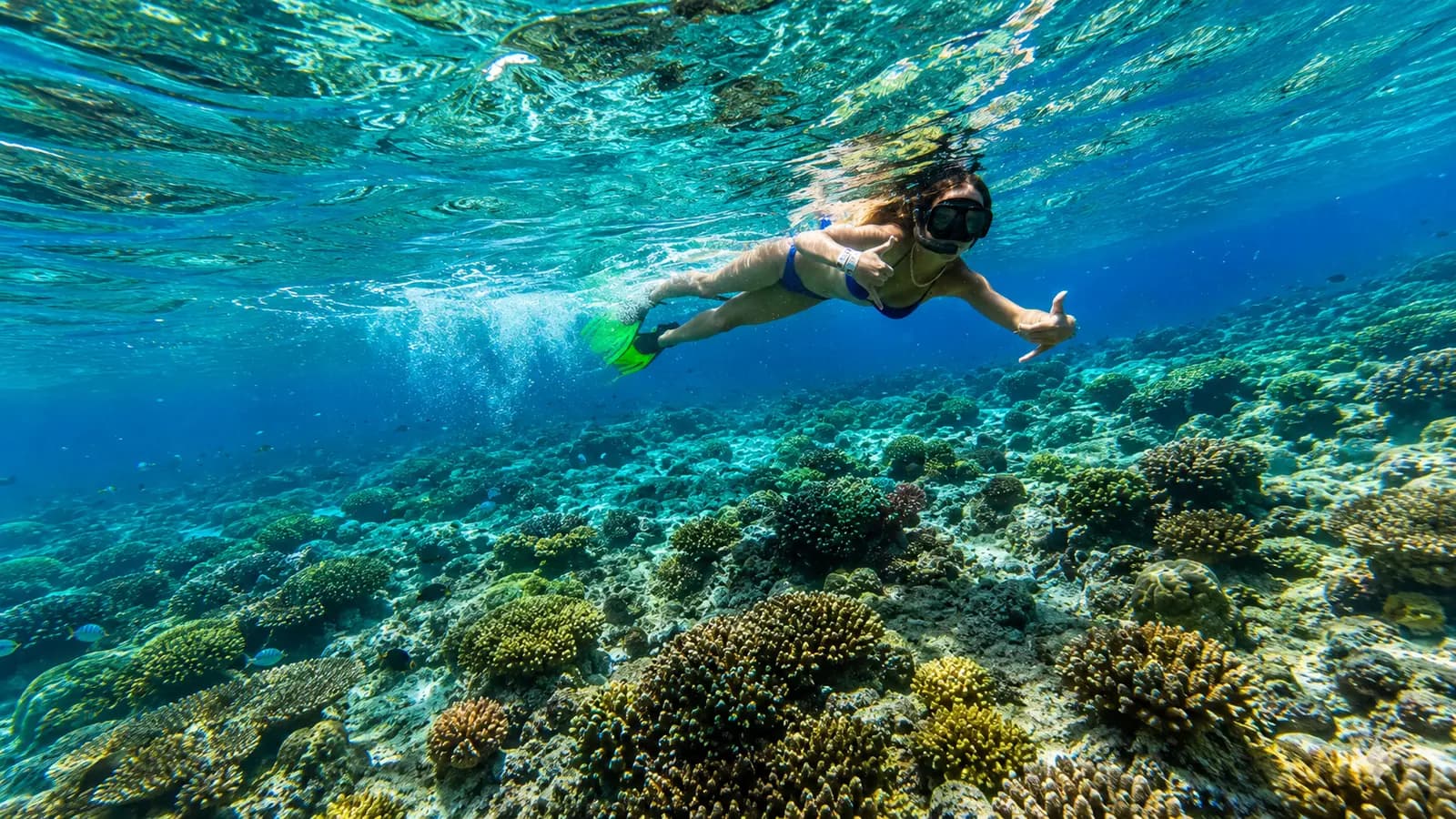 A woman in a mask and fins snorkels over a coral reef in clear blue water