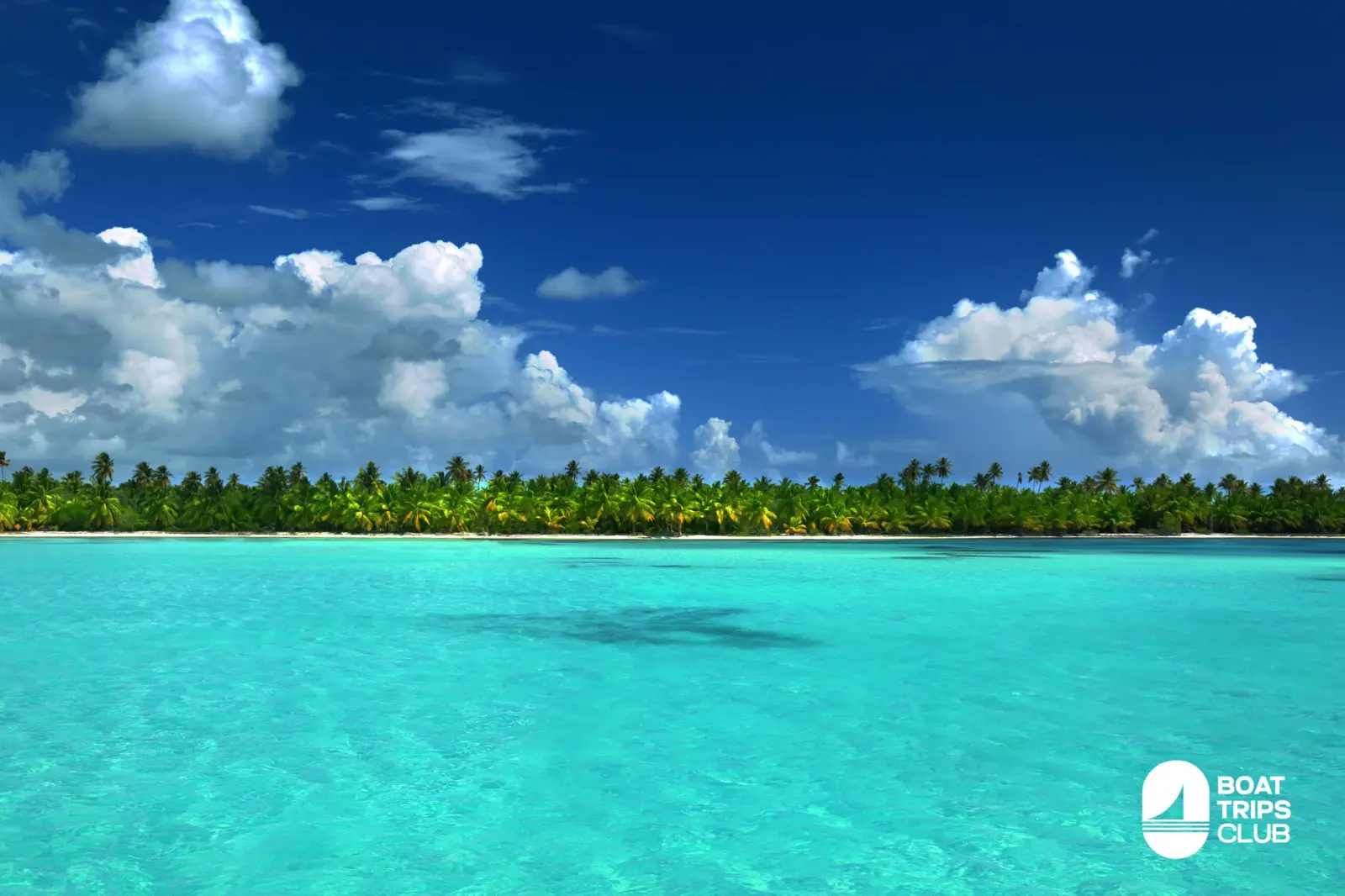 Turquoise Caribbean water in front of a palm-lined shore near Punta Cana under a deep blue sky