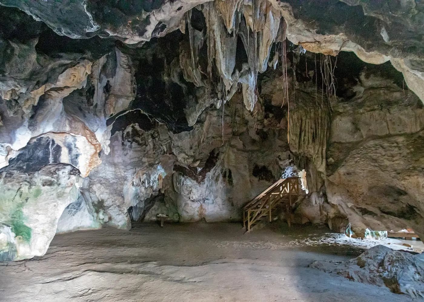 Cave interior with stalactites and dangling roots above a wooden staircase in Los Haitises