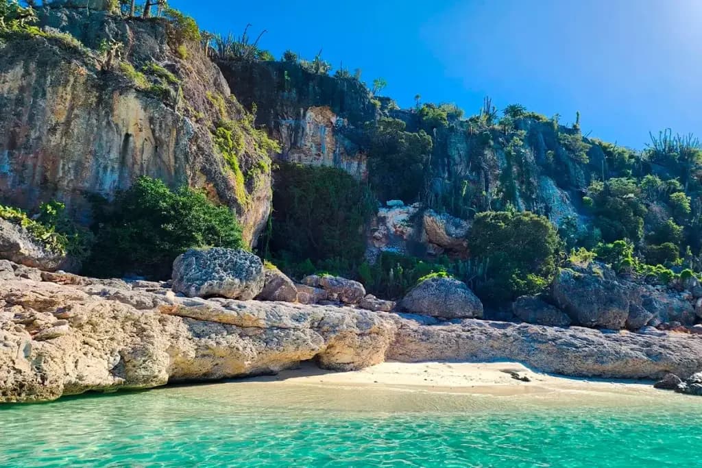 Cactus-topped limestone cliffs above a small sandy cove on the Jaragua coast