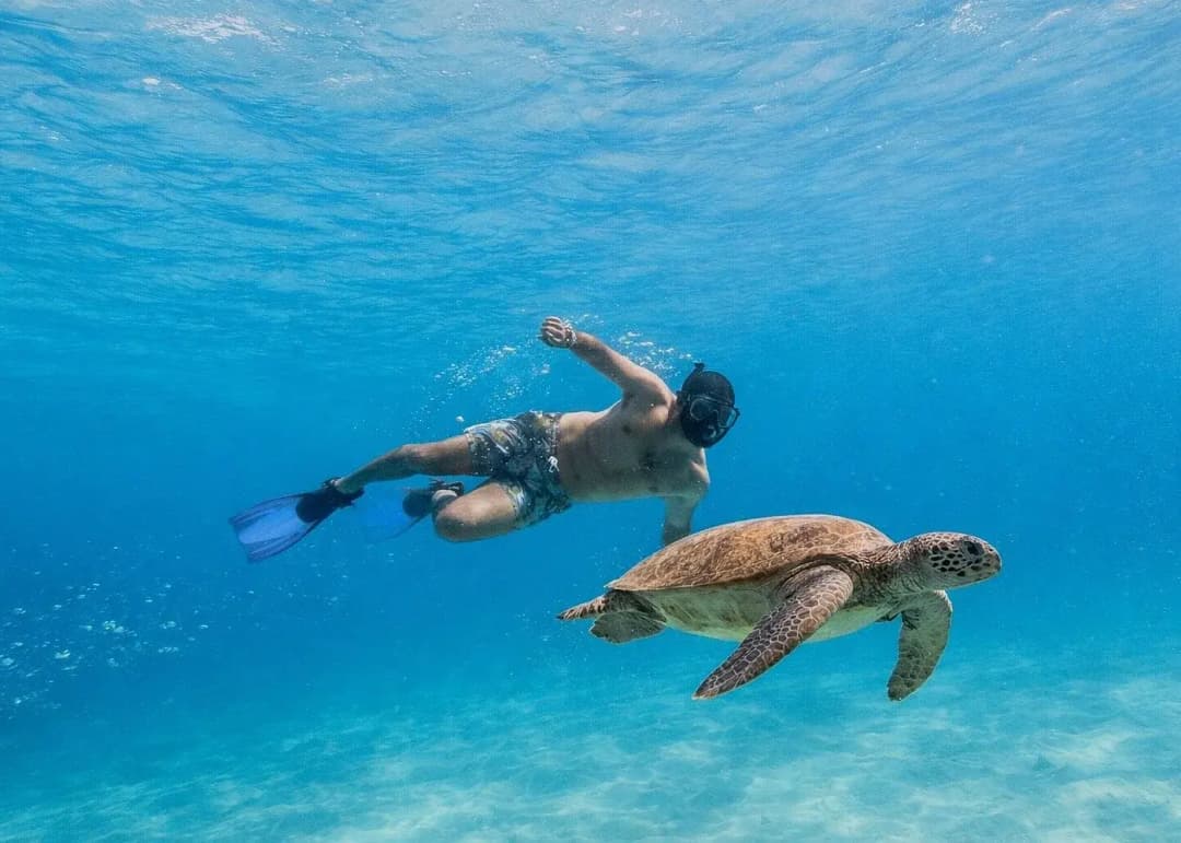 Snorkeler swimming alongside a sea turtle in clear turquoise ocean water.