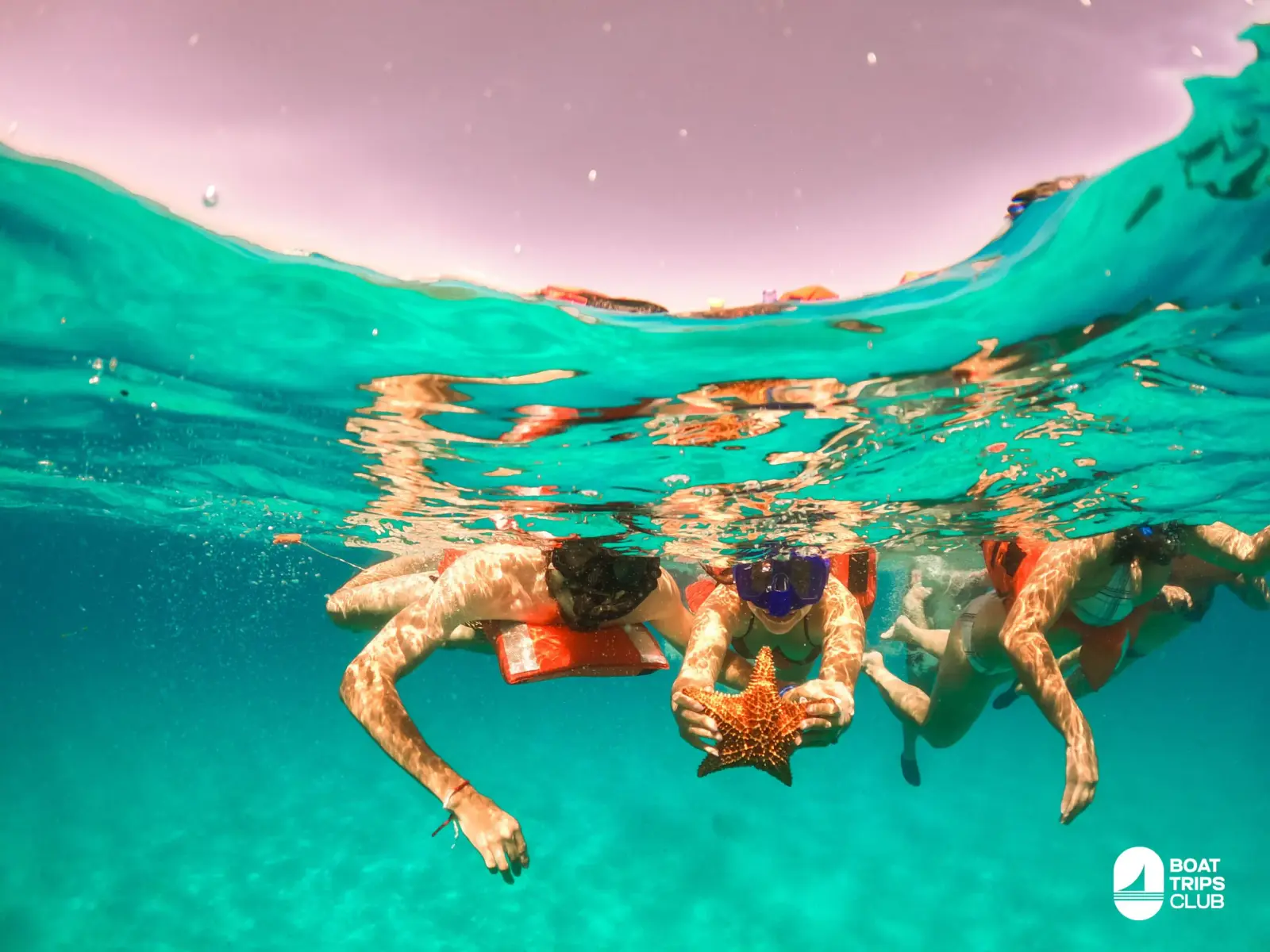 Snorkelers in orange vests floating underwater, one holding up a starfish