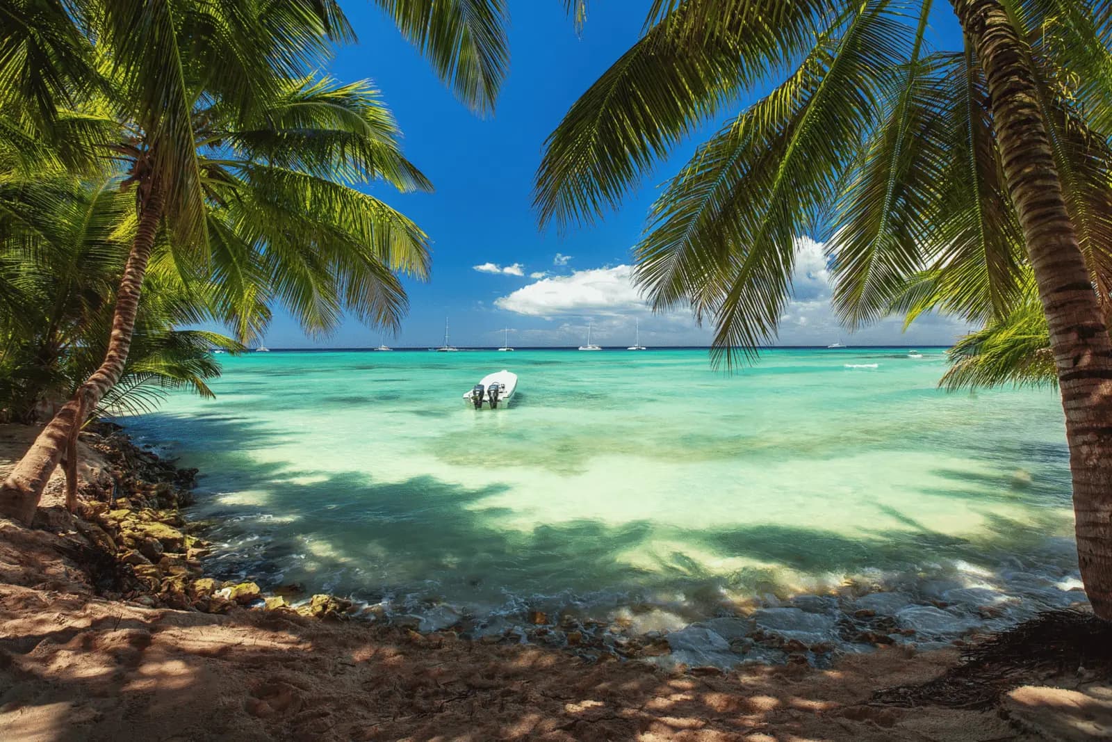 Palm trees framing a turquoise bay with a small motorboat anchored off Catalina Island