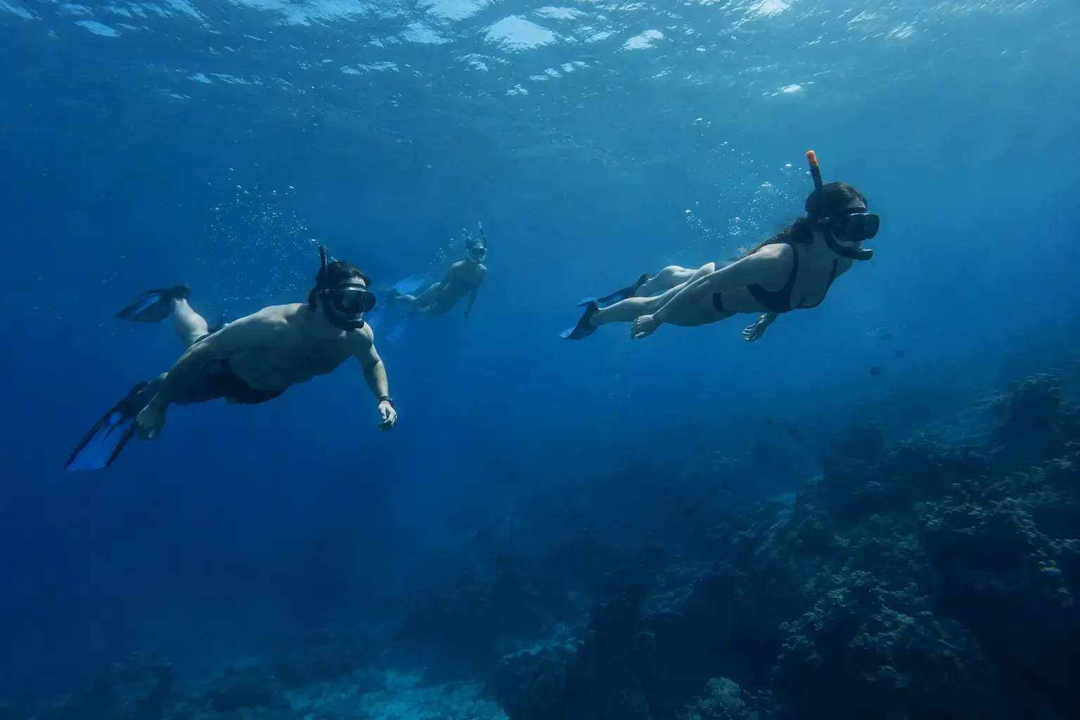 snorkelers exploring a coral reef in clear deep blue water at the best place to snorkel in Cozumel for first time visitors