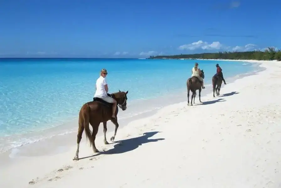 7. Punta Cana Horseback Riding on the Beach