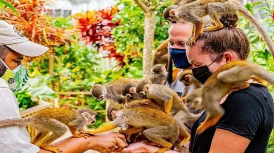 Unique Wildlife and Marine Experiences