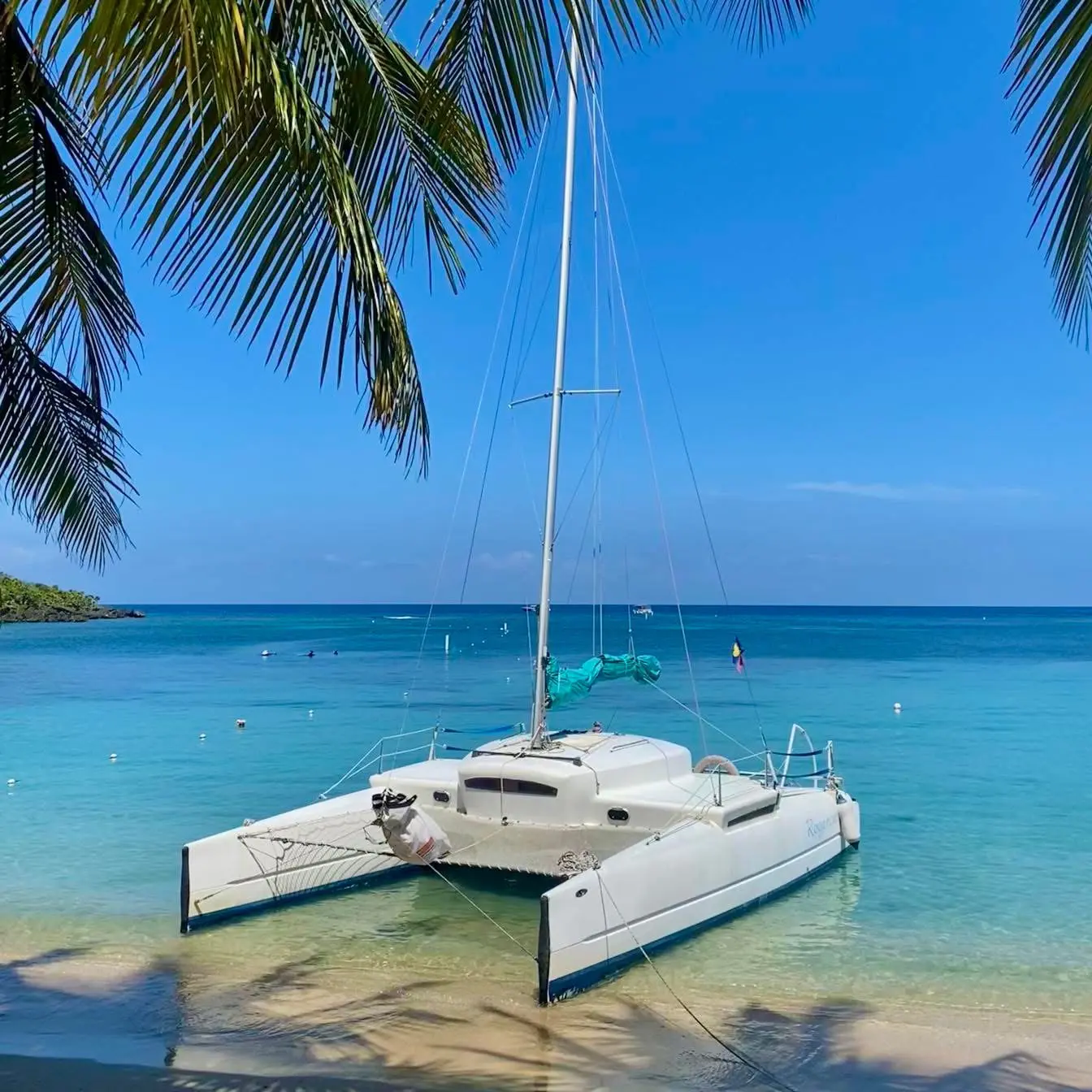 Sailing catamaran anchored in clear turquoise shallows off a palm-fringed Roatan beach
