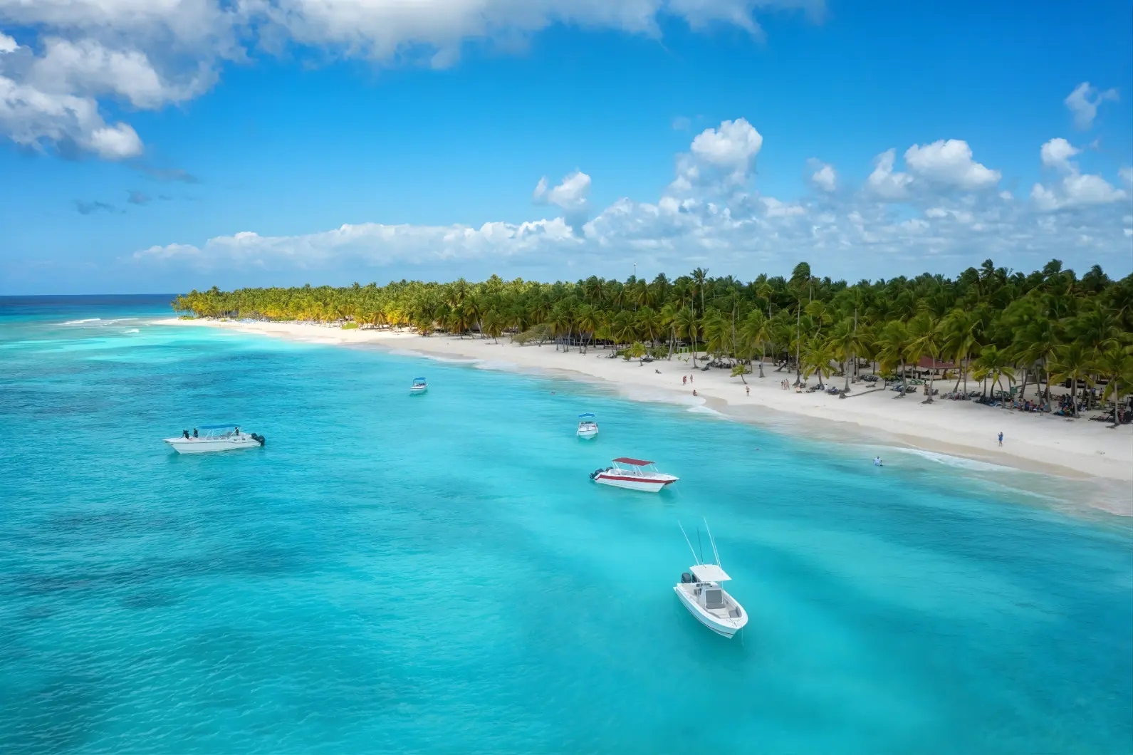 Aerial view of speedboats anchored off a palm-lined Saona Island beach
