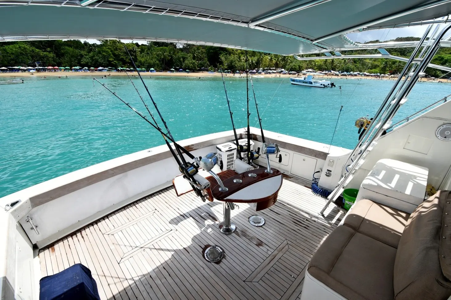 Teak cockpit of a sportfishing boat with a fighting chair and trolling rods, facing a tree-lined beach