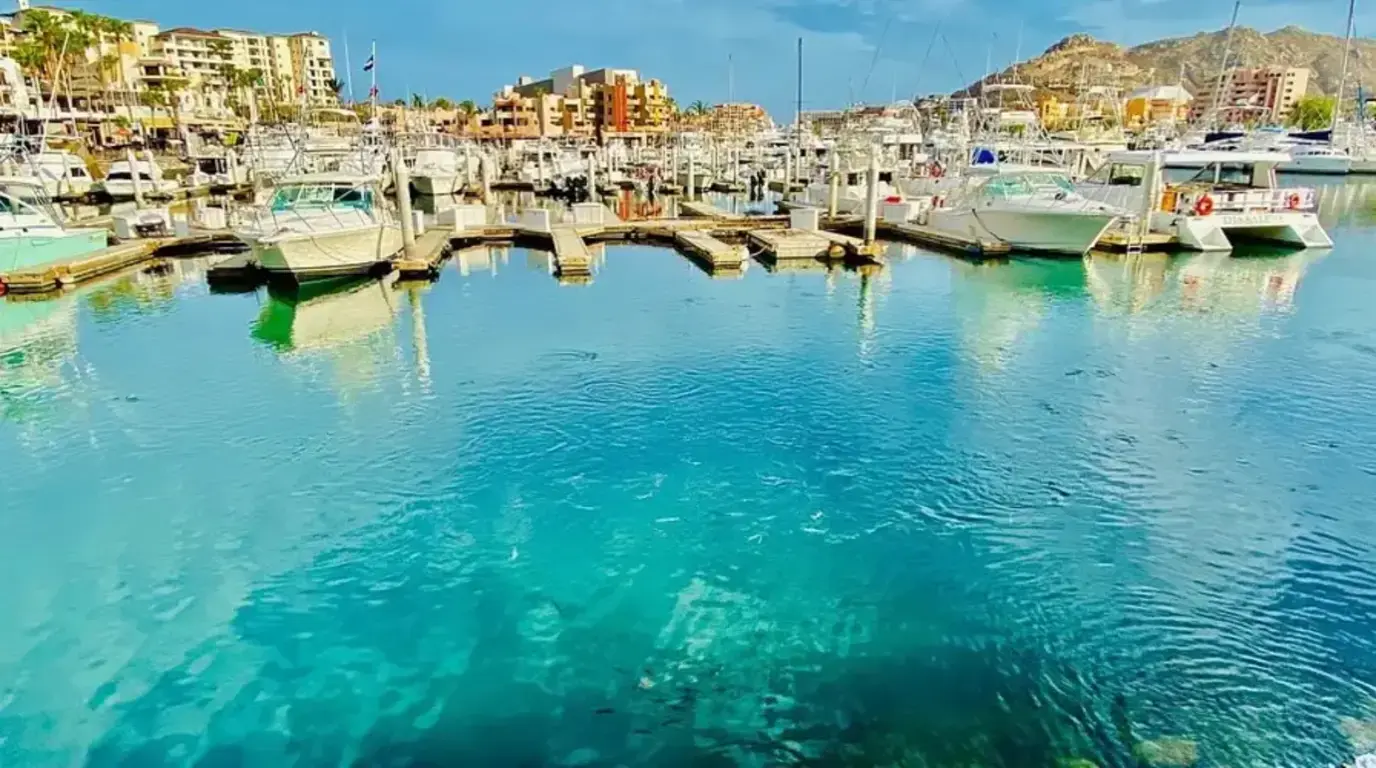 Marina Cabo San Lucas - Everything You Need to Know