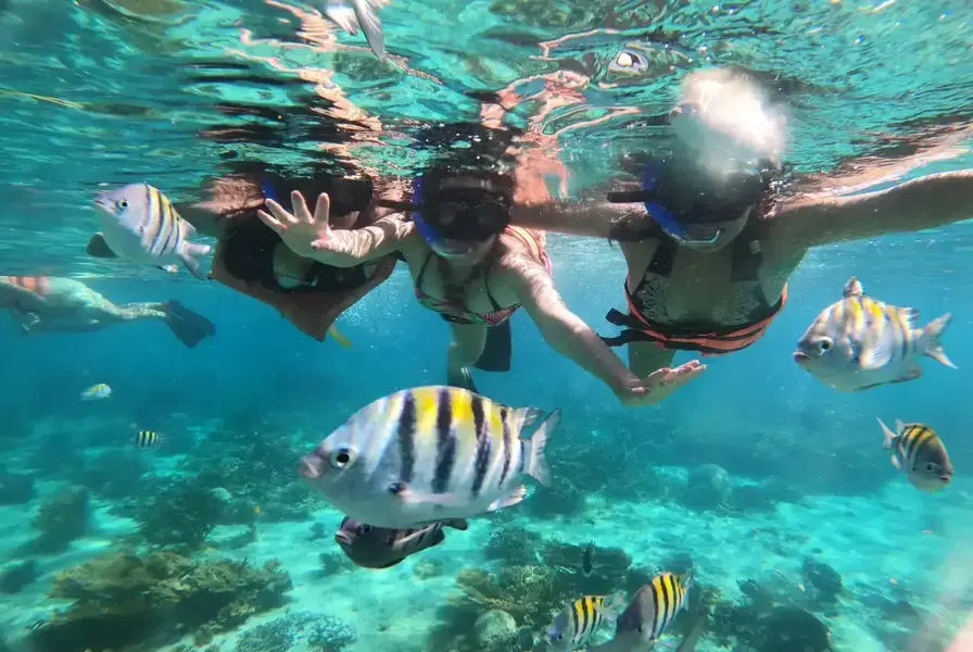 1. Isla Mujeres Snorkeling & Beach Tour