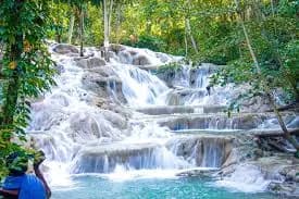 Water cascading down the terraced limestone steps of Dunn's River Falls in lush tropical forest