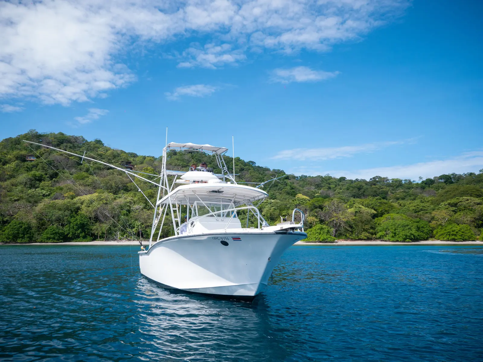 Sportfishing boat with a tower and outriggers anchored off a forested beach in Papagayo