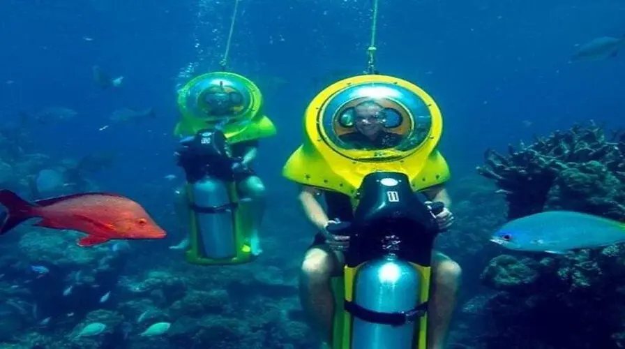Paradisus Reef