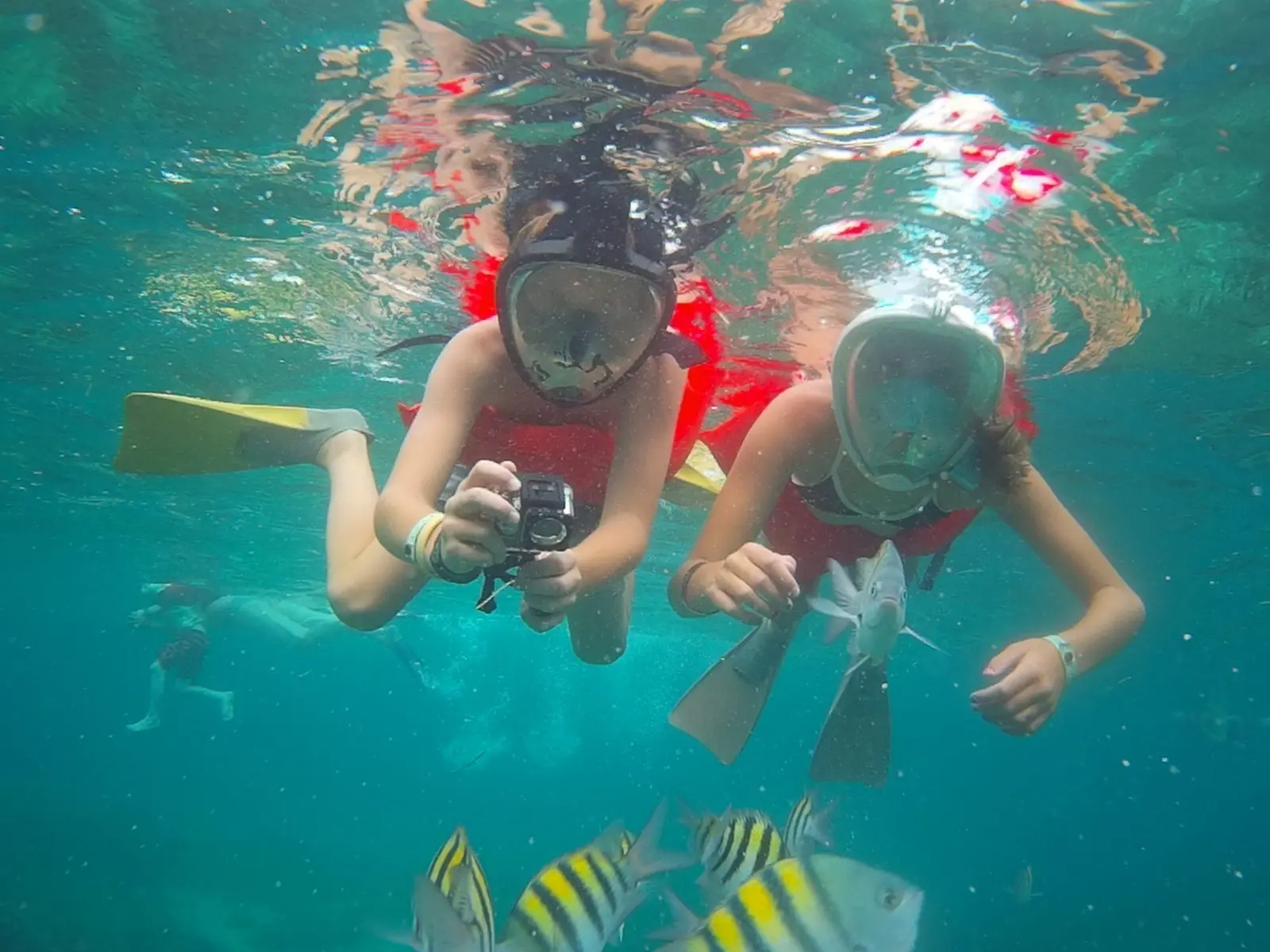 Two snorkelers in full-face masks and red vests filming fish with an action camera