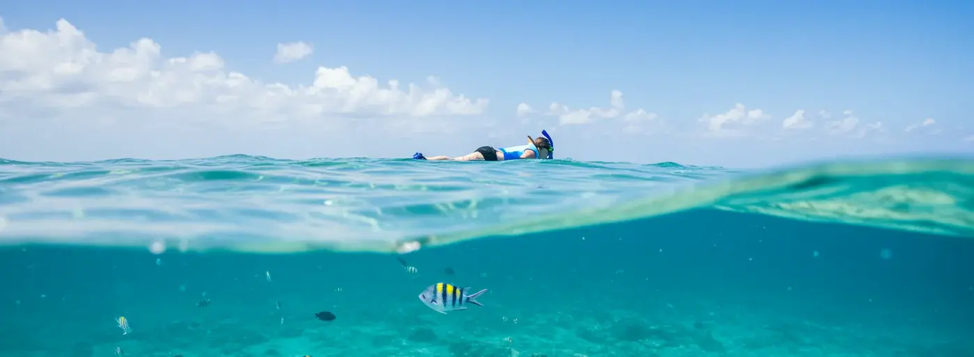 Snorkelers exploring vibrant marine life in the clear waters of Isla Mujeres.
