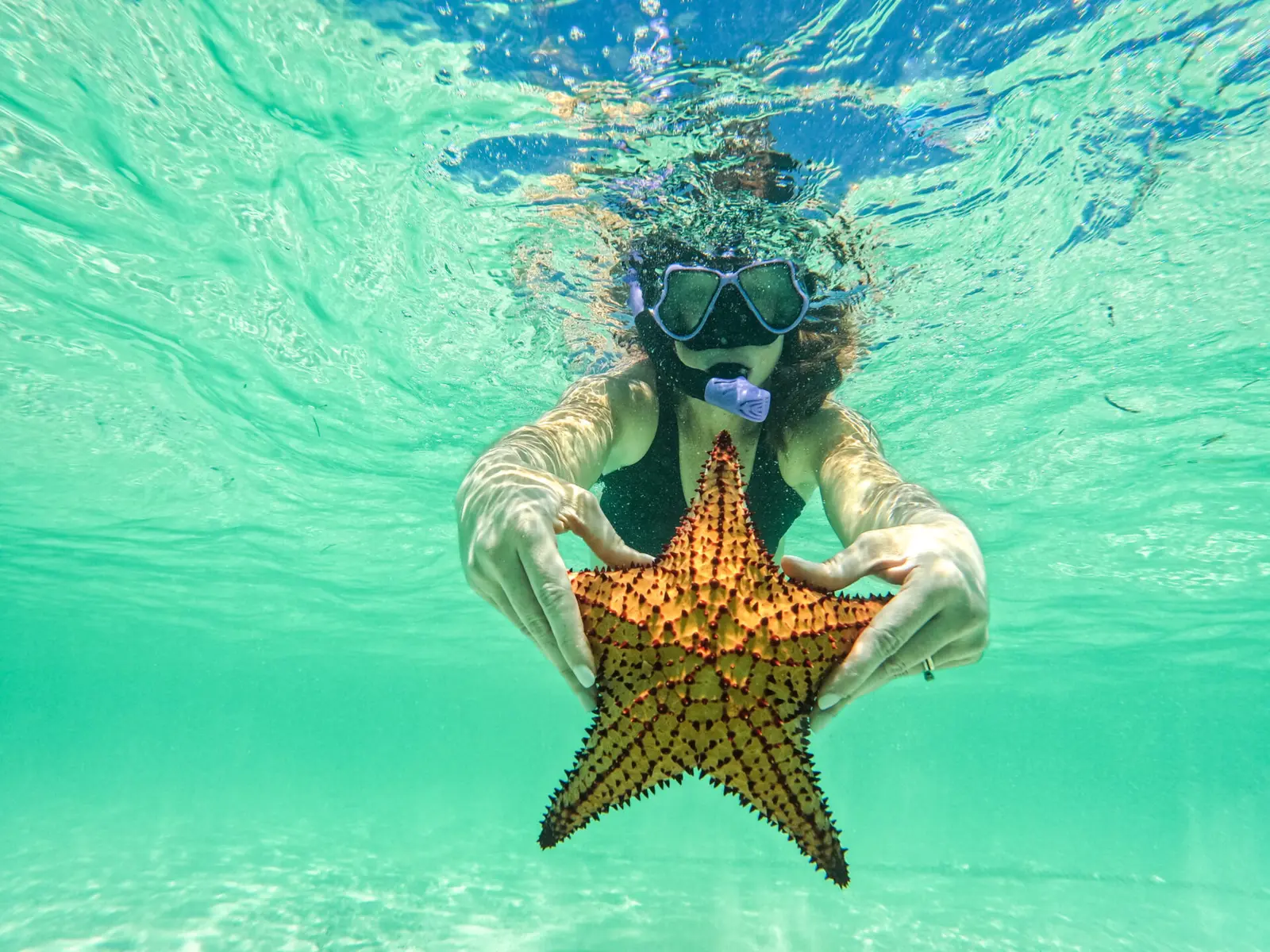 Snorkeler in a mask holding up a large orange starfish underwater