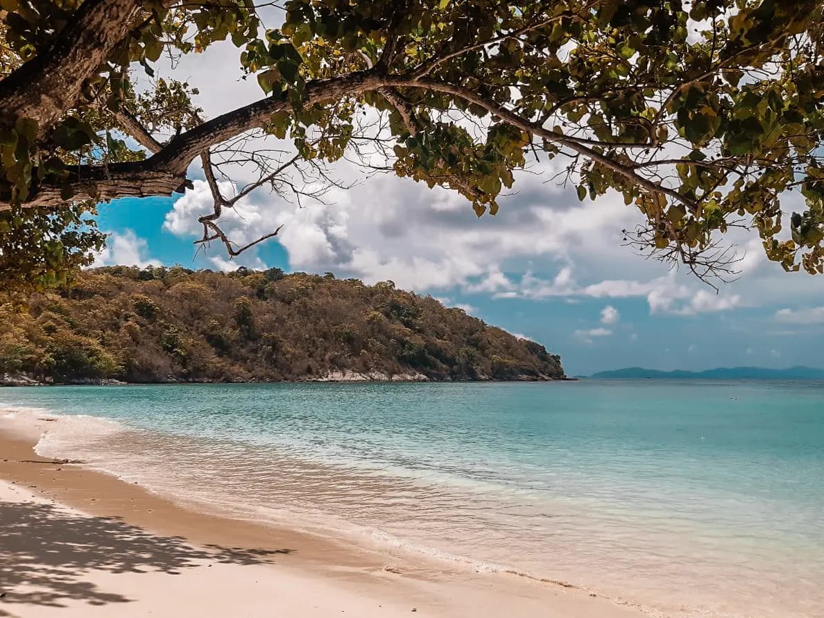 Tree branches framing a quiet sandy beach and calm water beside a wooded headland on Racha Island