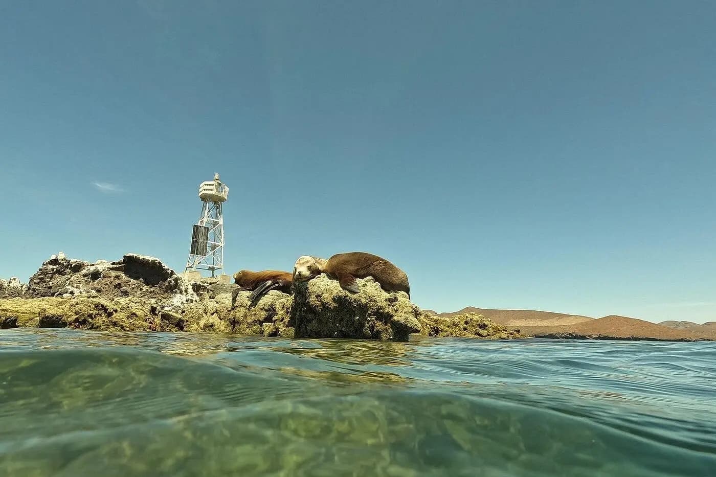 Sea lions resting on a rocky islet beside a small light tower, seen from water level near La Paz