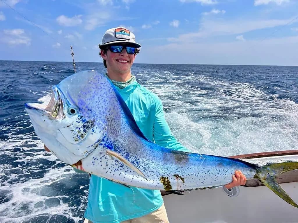 An angler in a cap holds up a big dorado on the stern of the sportfishing boat, wake churning behind
