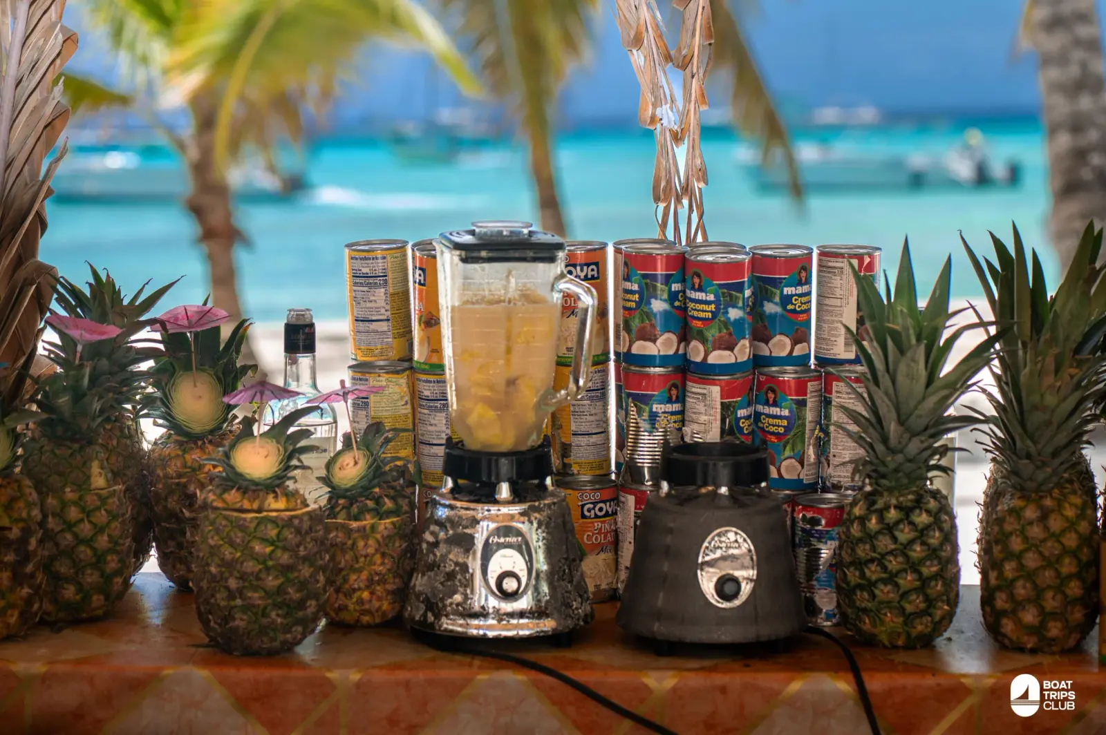 Pineapples, blenders and cans of coconut cream lined up at a palm-shaded beach bar