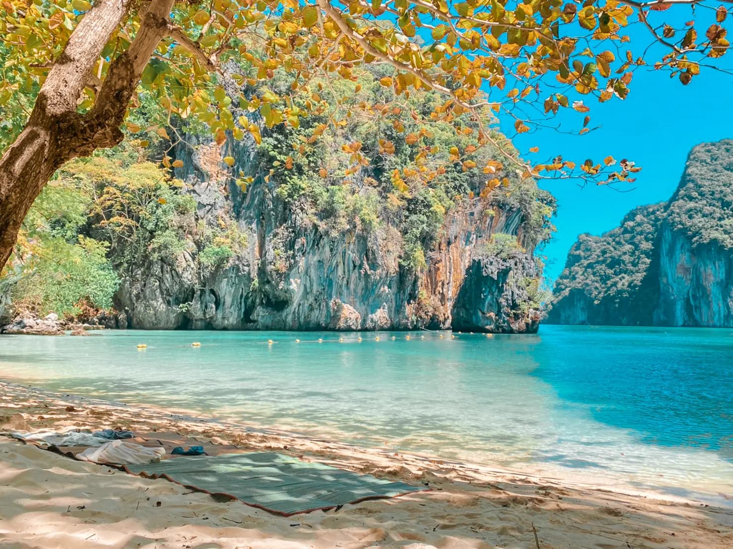 Shady beach under overhanging branches beside limestone cliffs and a turquoise cove on Hong Island