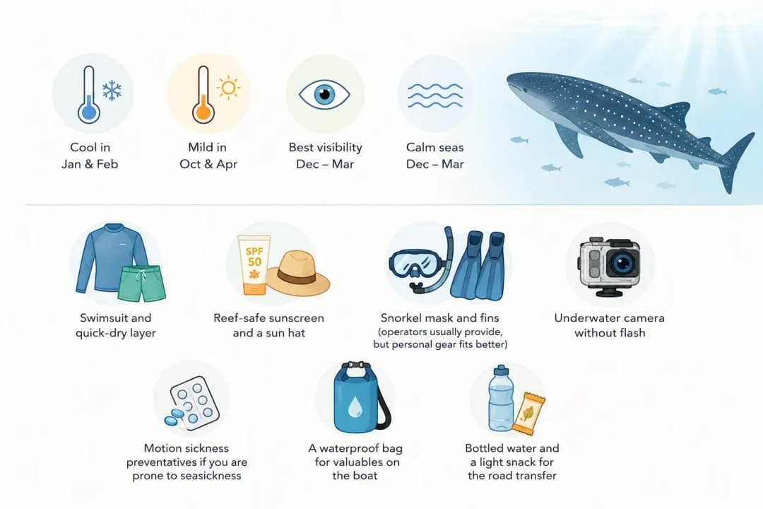 Whale shark snorkeling guide infographic showing seasonal water conditions and essential items to bring, including swimwear, reef-safe sunscreen, snorkel gear, camera, waterproof bag, water, and snacks.