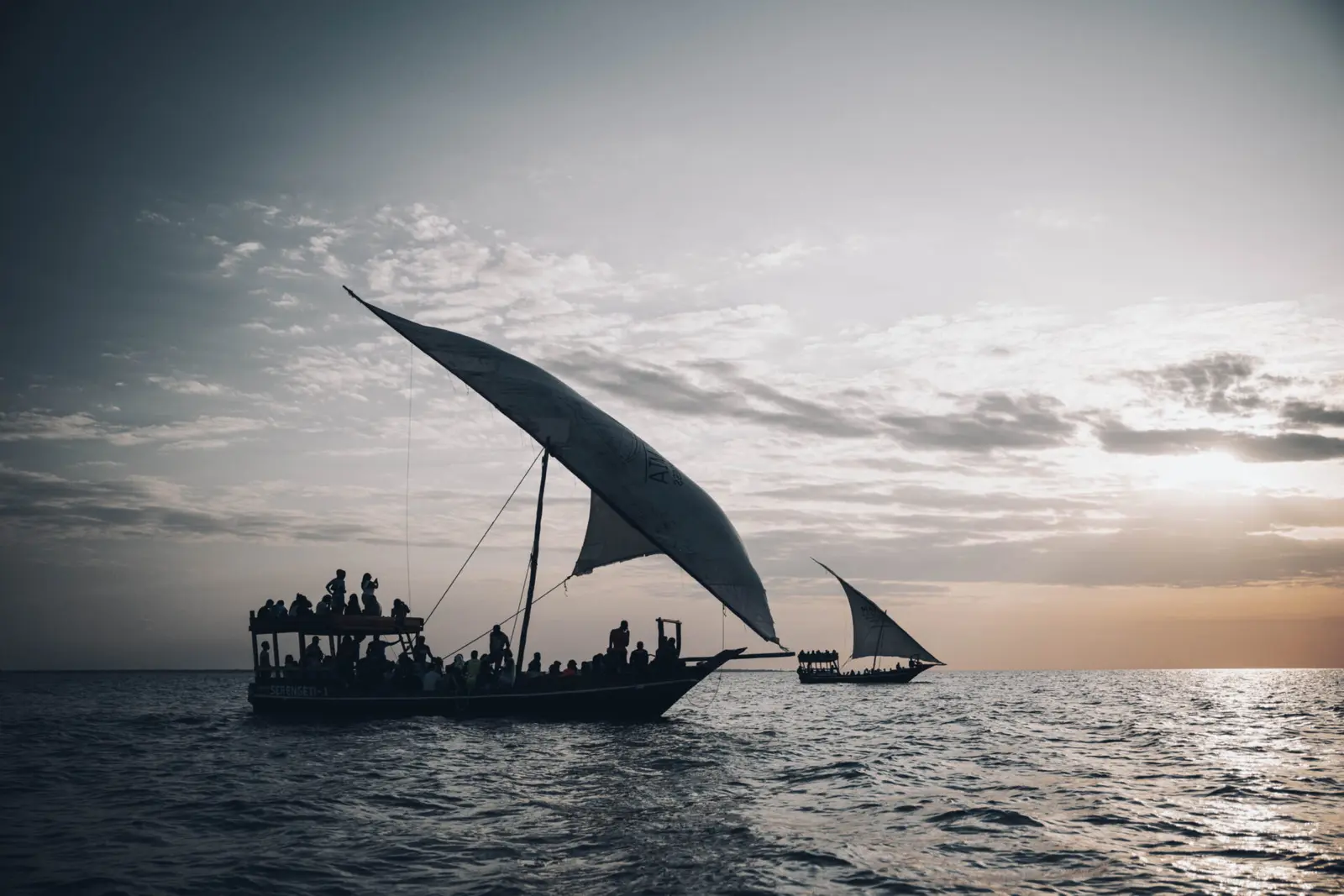 Silhouetted dhow carrying guests under a billowing lateen sail on a silvery sea off Zanzibar
