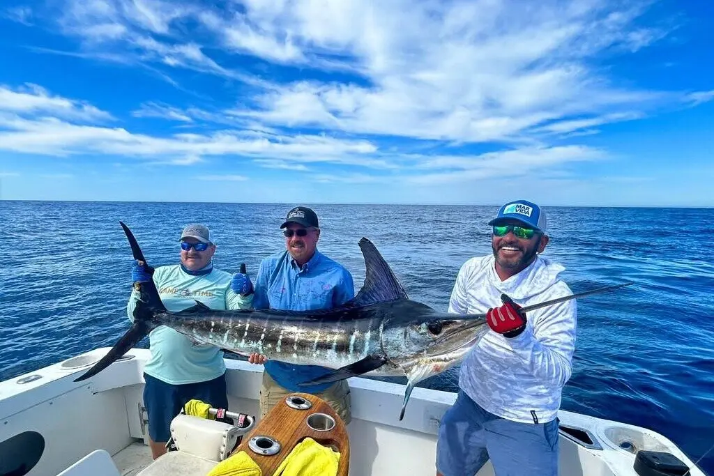 Three anglers show off a striped marlin on the boat's back deck under a bright blue sky