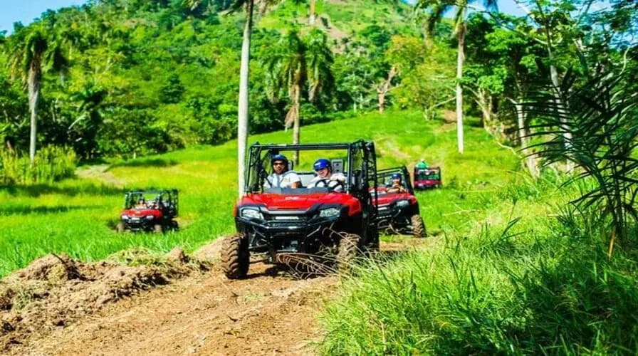 Off-Road Jungle Buggy and ATV Tours